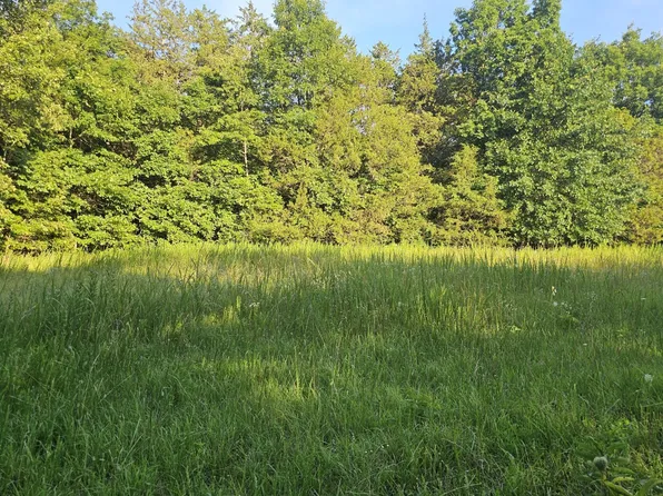 2 Tomahawk Slab Rd, Saint Joe, AR 72675