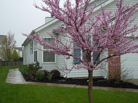 2nd image of 17014 Kirklin Dr