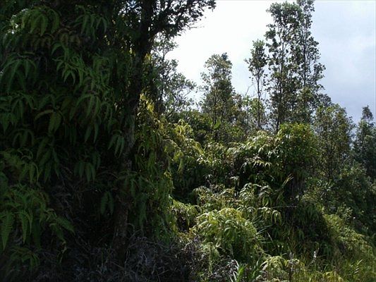 1st image of 11-3165 Plumeria St Lot 6607