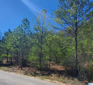 5916 High Forest Dr #81, Mc Calla, AL, 35111
