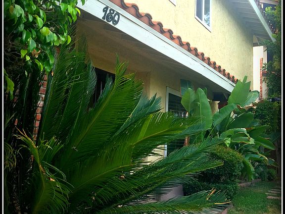 4th image of 180 Wonderview Dr
