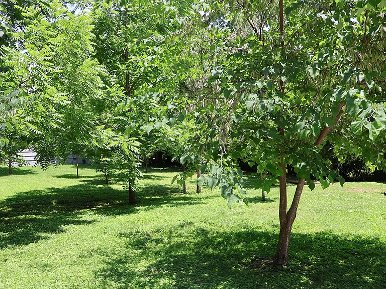 403 Woodlawn Pike — Photo 3