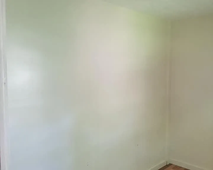 113 Cleveland St — Photo 3