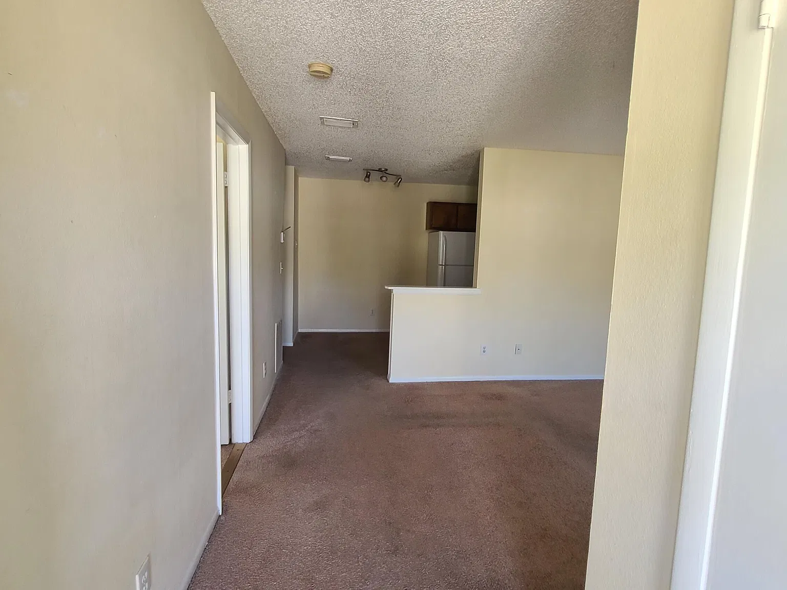 1 bed, 1.0 bath, 630 sqft, $1,150 — Photo 3