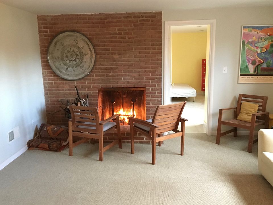 Woodburning fireplace