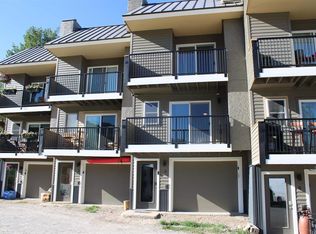710 Gothic Rd UNIT 3, Mount Crested Butte, CO 81225