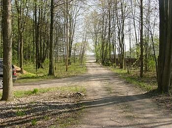 View from the house down the driveway to Gratiot Rd.br No noise, very private yet close.