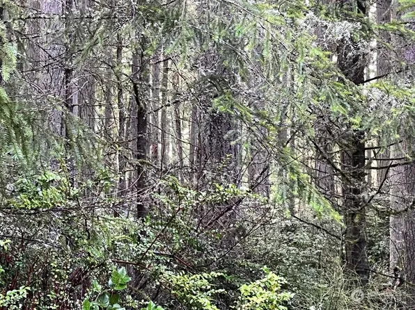 10011 129th Avenue Ct, Anderson Island, WA 98303