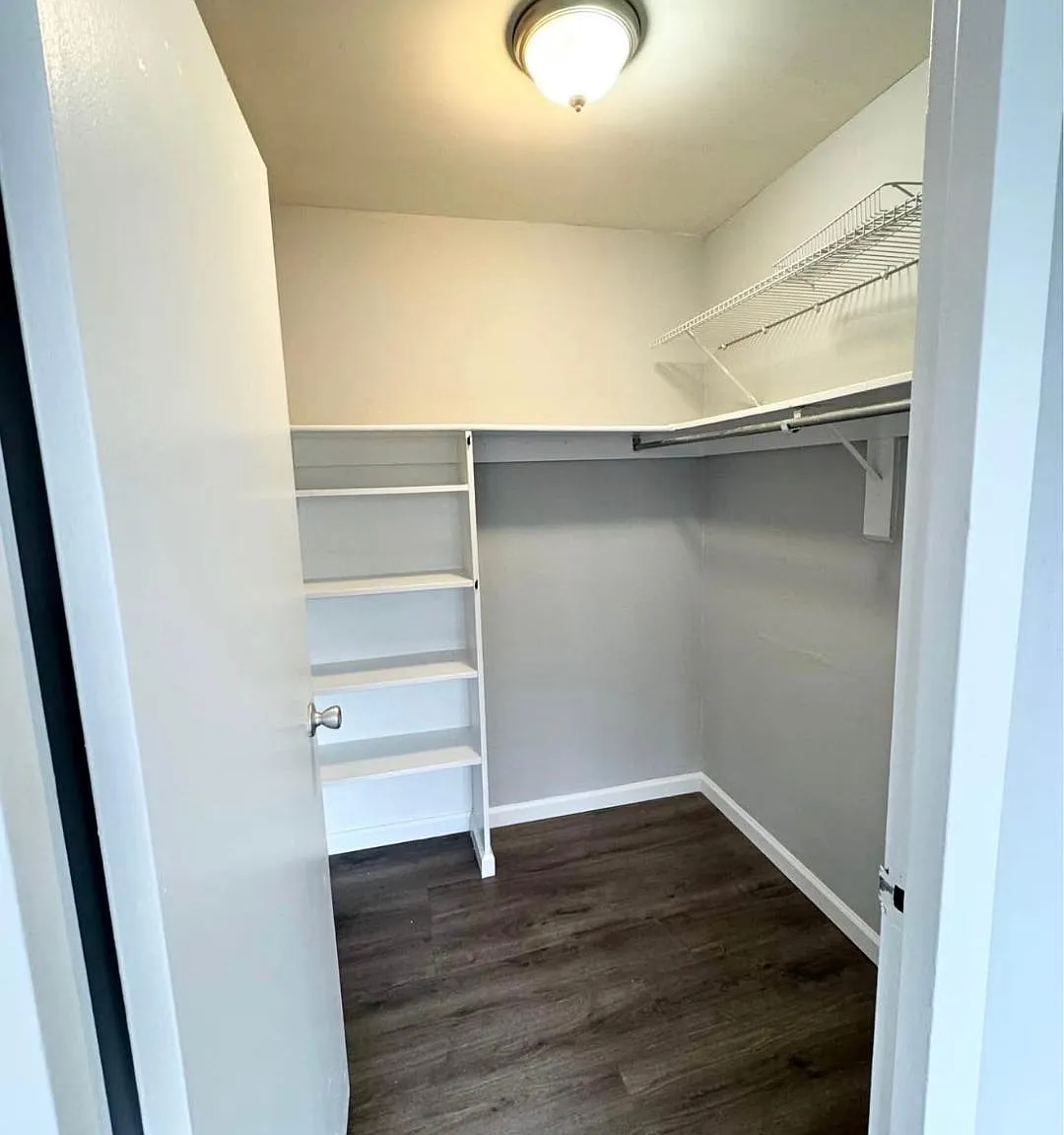 1 bed, 535 sqft, $1,650 — Photo 4