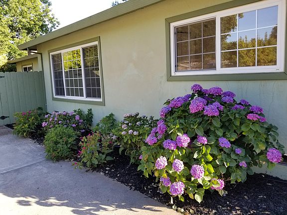 3rd image of 1310 Garden Ave