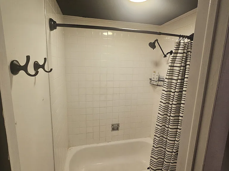 625 N Pennsylvania St #608 — Photo 11