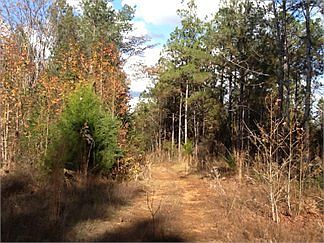 1st image of 150 Hilltop Ln