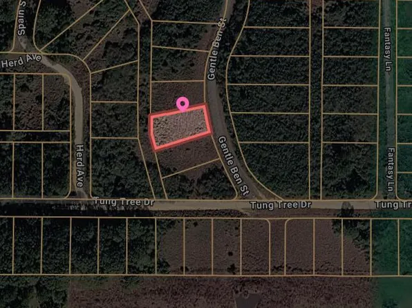 0 Gentle Ben St Lot 22, Lumberton, MS 39455