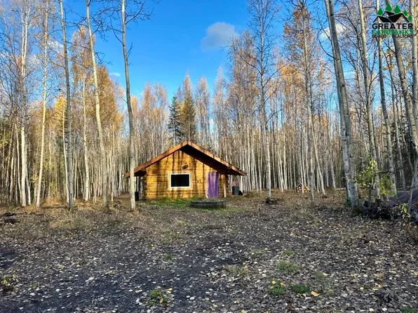 L10bb Triple H Rd, Delta Junction, AK 99737