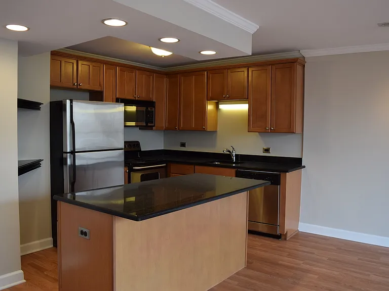 1360 N Sandburg Ter #410 — Photo 7