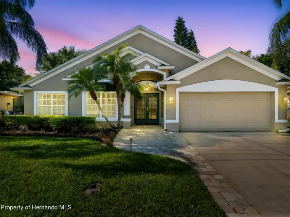21314 Marsh Hawk Dr, Land O Lakes, FL 34638