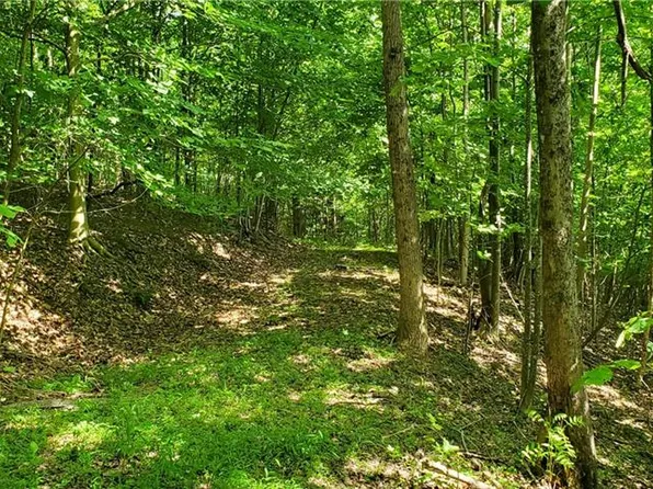 2440 Alfred Hartley Rd, Lenoir, NC 28645