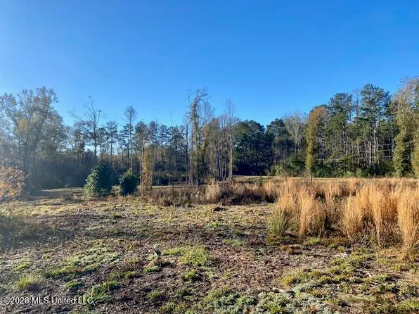 1169 Ole Springs Rd, Summit, MS 39666