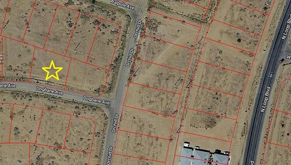 2nd image of Dogbane Ave