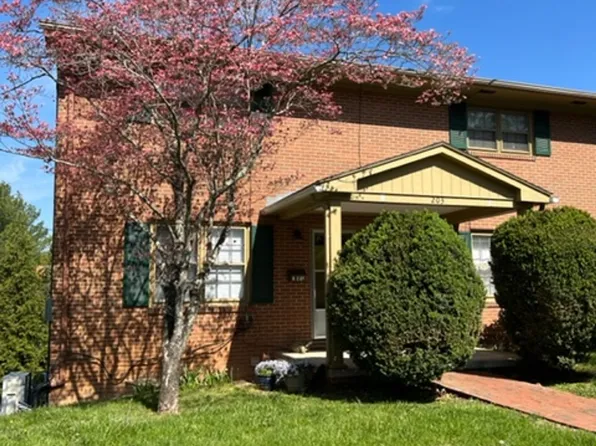 Myers Street, 203, 203 Myers St APT B, Lexington, VA 24450