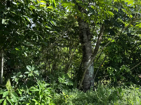 Puni Makai Loop S Lot 1263, Pahoa, HI 96778