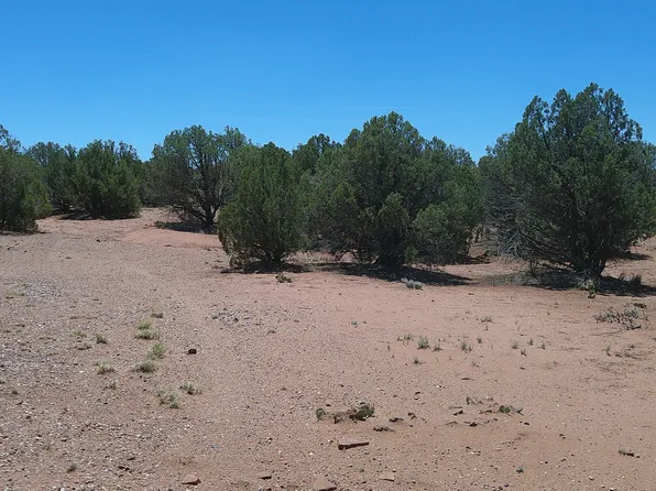 4409 S Pinto Rd, Snowflake, AZ 85937