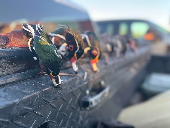 2nd image of 2909 Shellman Bluff Rd N