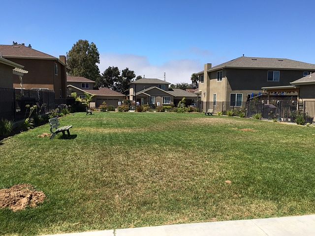 Green Belt Great for games