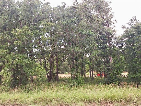 3rd image of 108 Live Oak Path