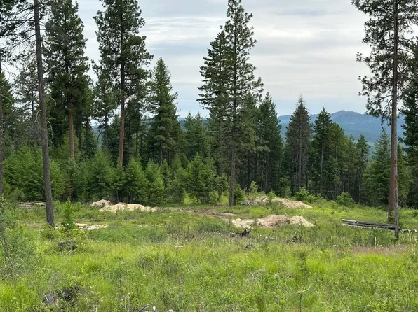 LOT-36XX Sheridan Rd #P, Republic, WA 99166