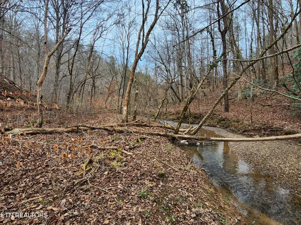 Middle Creek Rd, Cosby, TN 37722