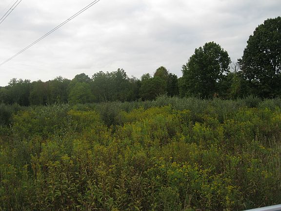 5th image of Druck Valley Road