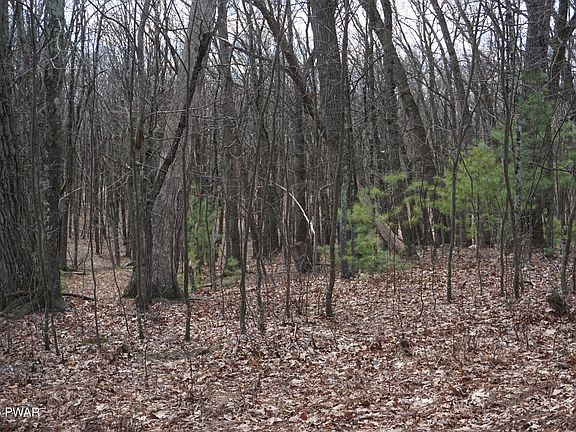 3rd image of LOT 4 Roosie Rd