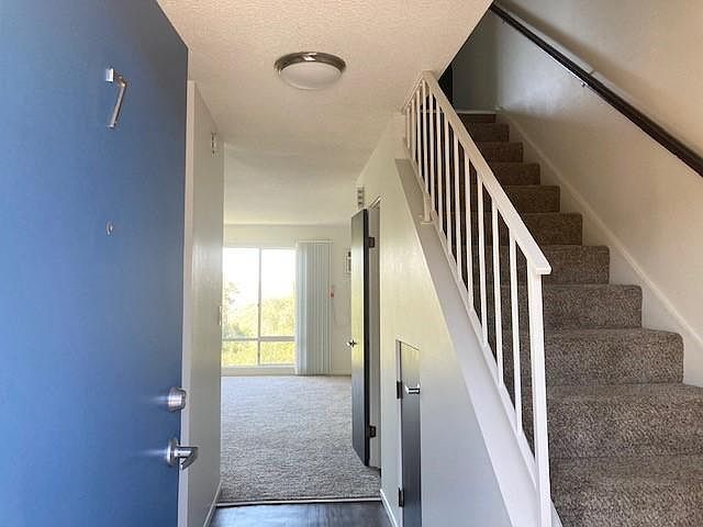 1st image of 4033 Dove St APT 7