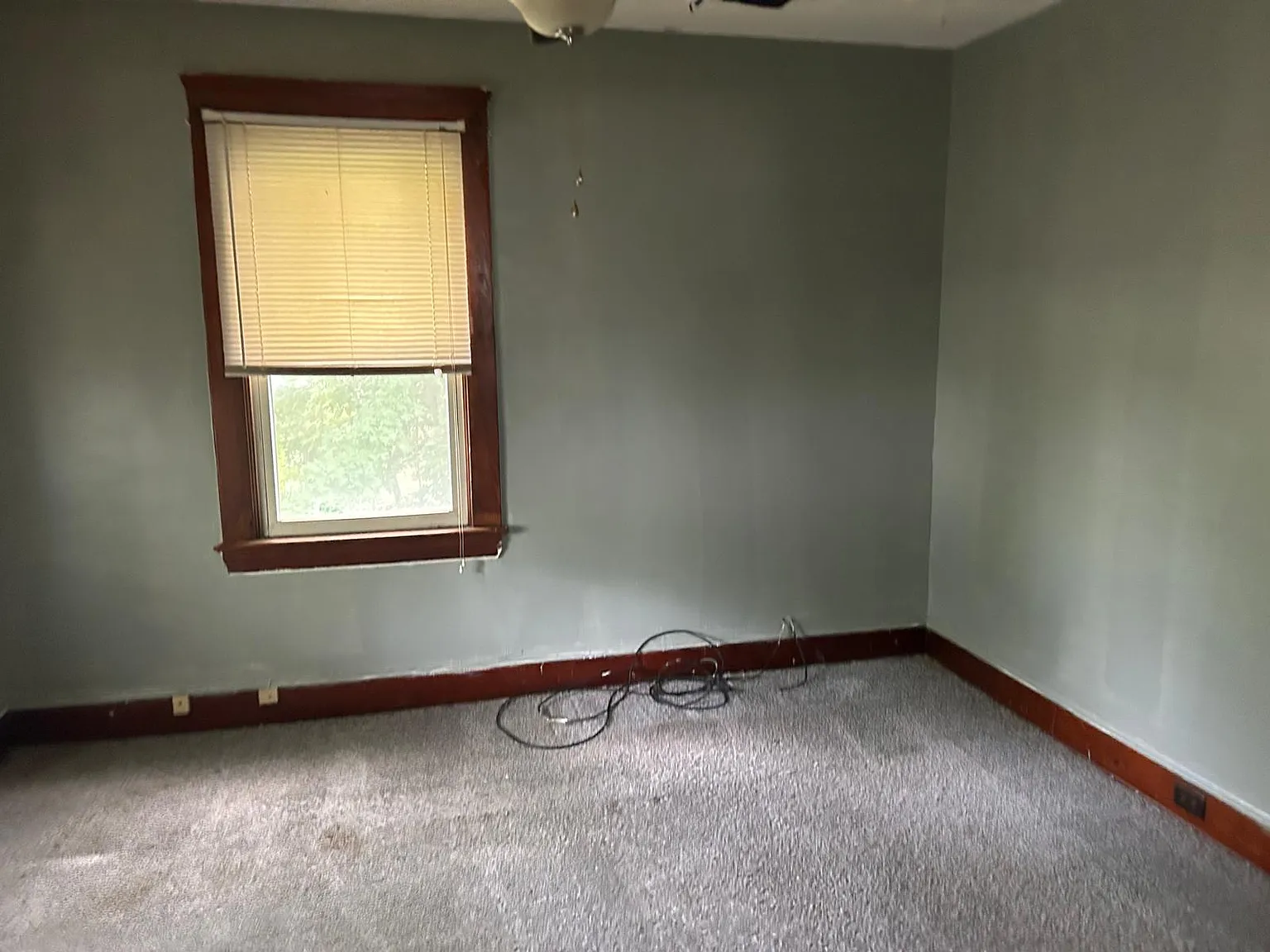 2 bed, $900 — Photo 4
