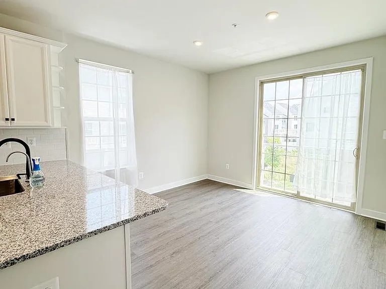 19722 Preservation Mews — Photo 8
