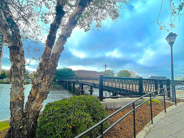 Holland House — Photo 6