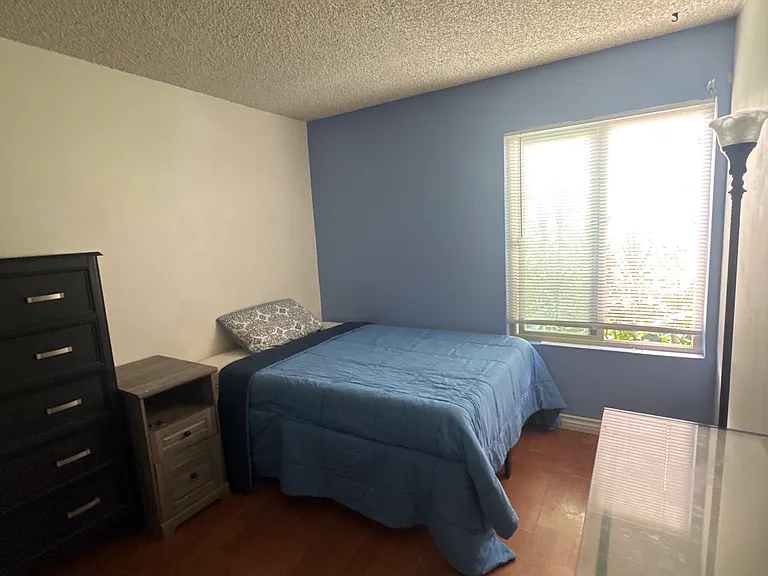 Mount Alifan Pl — Photo 3