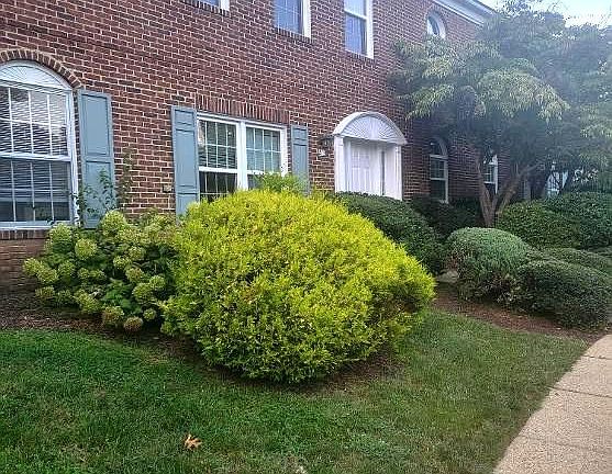 2nd image of 213 Heather Ct