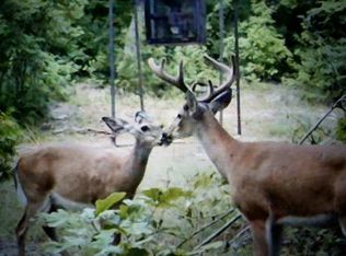 Schrock Rd, Mountain View, AR 72560