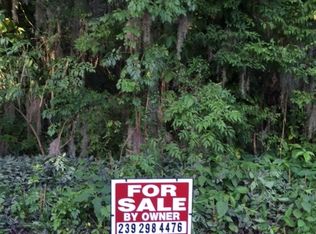 Needle Palm Drive, Edgewater, FL 32141