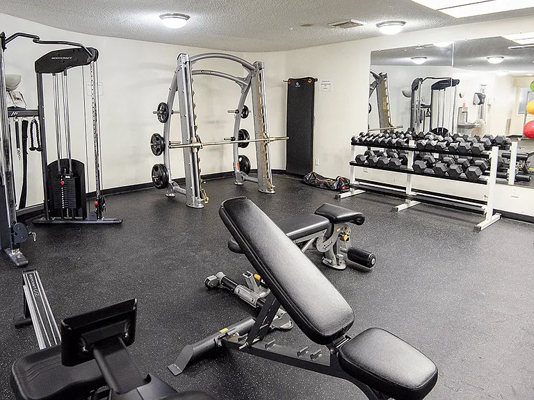 Free Weights