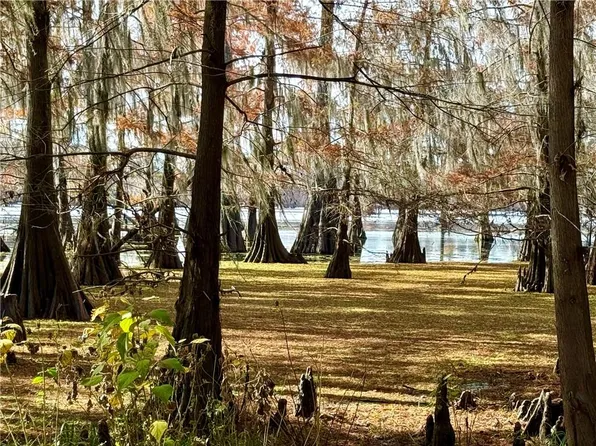 Hardwater Lake Rd Lot 13/14, Pollock, LA 71467