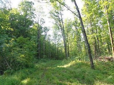 3rd image of W8708 County Road D