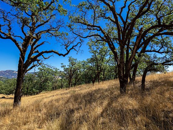5th image of 16450 Yorkville Ranch Road