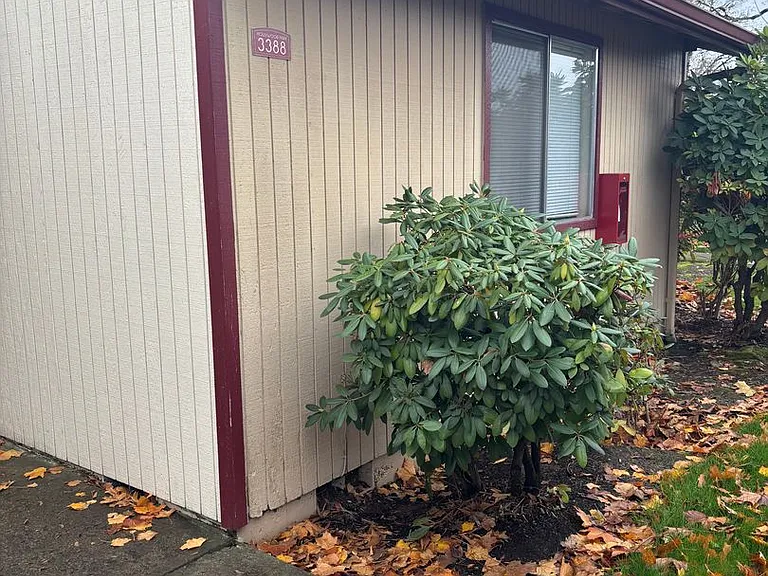 1 Bedroom 1 Bathroom at Hollywood Park Apartments — Photo 2