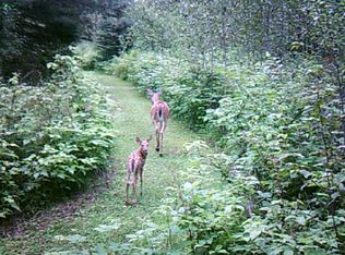 W6691 Barker Rd, Amberg, WI 54102