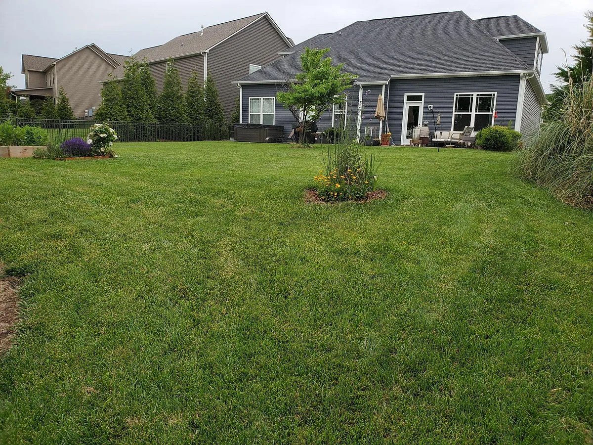 Rear Elevation & Backyard - 2623 Brooke Willow Blvd