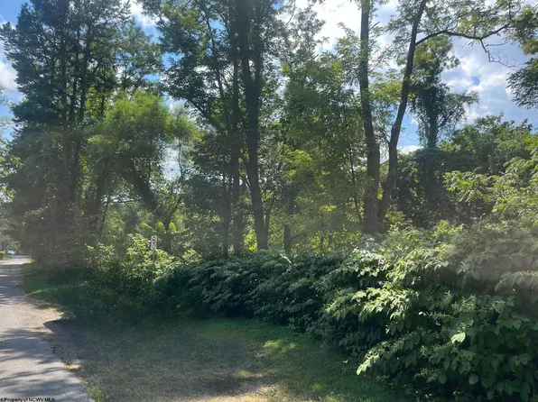 Main St, Carolina, WV 26563