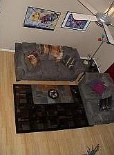 3rd image of 1001 Stacias Way